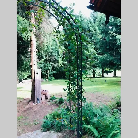 Vakantiehuis Nad Strumykiem