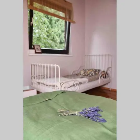 Vakantiehuis Nad Strumykiem *