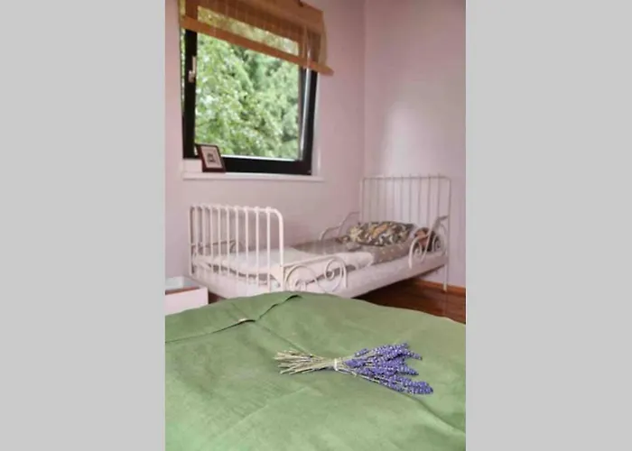 펜션 Nad Strumykiem *